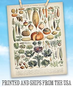 Amazon.com: Antique Heirloom Legumes and Root Crops Vegetables